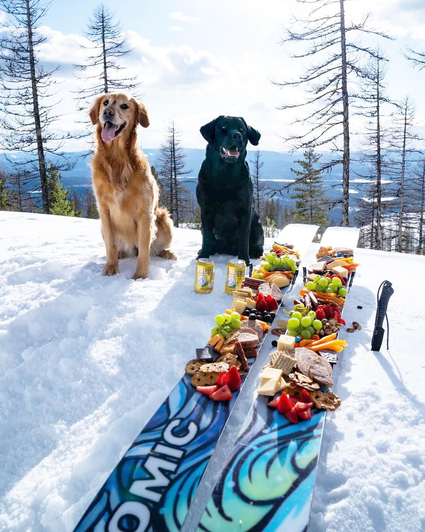 5 Fun Foods to Bring On Your Next Ski Trip: A blog on fun foods that you can use to spice up your lunches