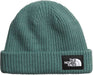 THE NORTH FACE SALTY LINED BEANIE (8218975535269)