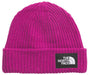 THE NORTH FACE KIDS SALTY LINED BEANIE (8218978943141)