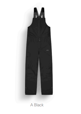 Picture Women's Brita Bib Pant (9109520646309)