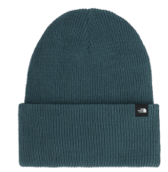 THE NORTH FACE URBAN CUFF BEANIE (8809390932133)