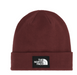 THE NORTH FACE DOCK WORKER RECYCLED BEANIE (7945882828965)