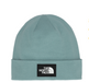 THE NORTH FACE DOCK WORKER RECYCLED BEANIE (7945882828965)