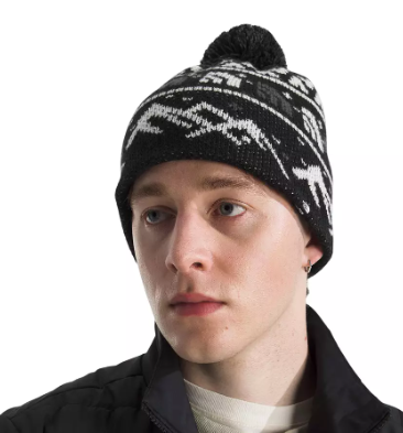 THE NORTH FACE CABIN SKI TUKE HAT (9195129143461)