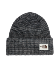 THE NORTH FACE SALTY BAE BEANIE (6717476700325)