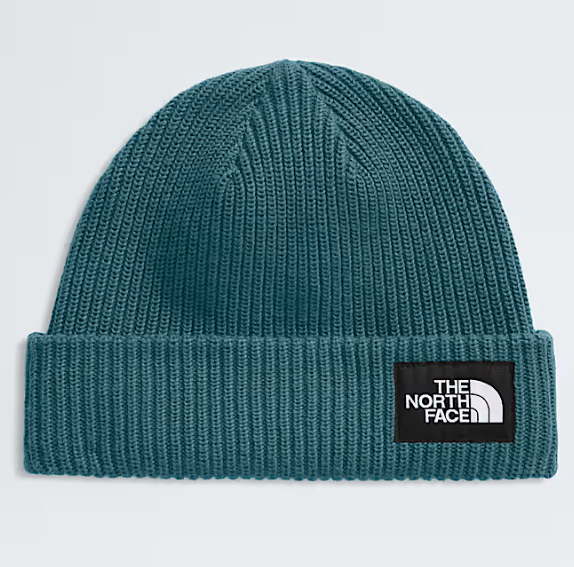 THE NORTH FACE SALTY LINED BEANIE (8218975535269)
