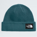 THE NORTH FACE SALTY LINED BEANIE (8218975535269)