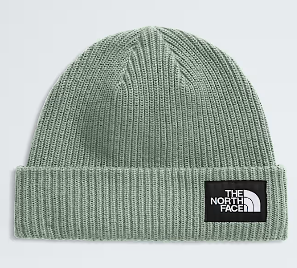 THE NORTH FACE SALTY LINED BEANIE (8218975535269)