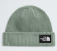 THE NORTH FACE SALTY LINED BEANIE (8218975535269)