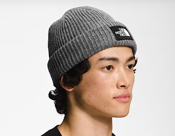 THE NORTH FACE SALTY LINED BEANIE (8218975535269)