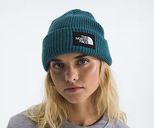 THE NORTH FACE SALTY LINED BEANIE (8218975535269)