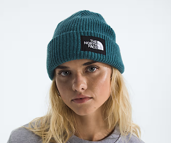 THE NORTH FACE SALTY LINED BEANIE (8218975535269)