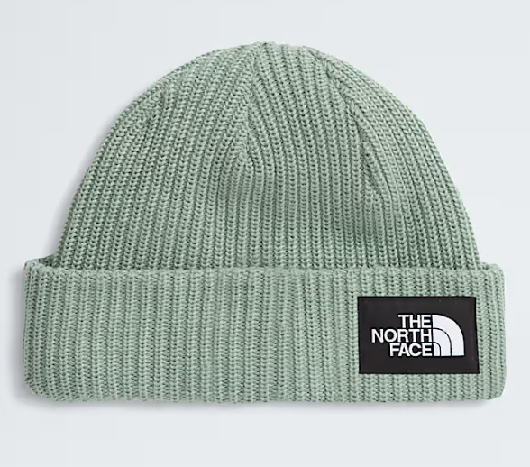 THE NORTH FACE KIDS SALTY LINED BEANIE (8218978943141)