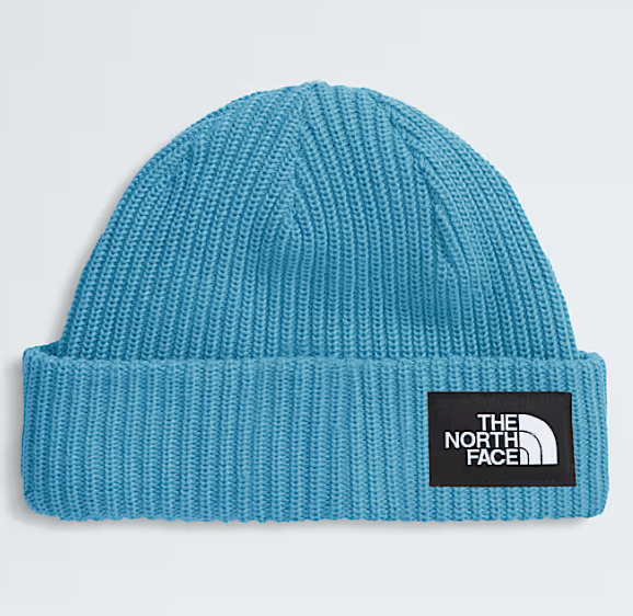 THE NORTH FACE KIDS SALTY LINED BEANIE (8218978943141)