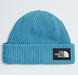 THE NORTH FACE KIDS SALTY LINED BEANIE (8218978943141)