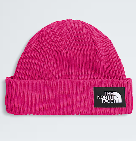 THE NORTH FACE KIDS SALTY LINED BEANIE (8218978943141)