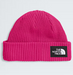 THE NORTH FACE KIDS SALTY LINED BEANIE (8218978943141)