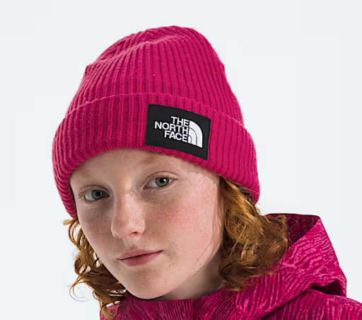 THE NORTH FACE KIDS SALTY LINED BEANIE (8218978943141)