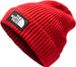 THE NORTH FACE SALTY LINED BEANIE (8218975535269)