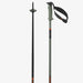 Salomon Polar Pro Pole (8761652871333)