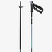 Salomon Polar Pro Pole (8761652871333)
