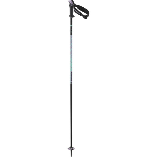 Salomon Polar Pro Pole (8761652871333)