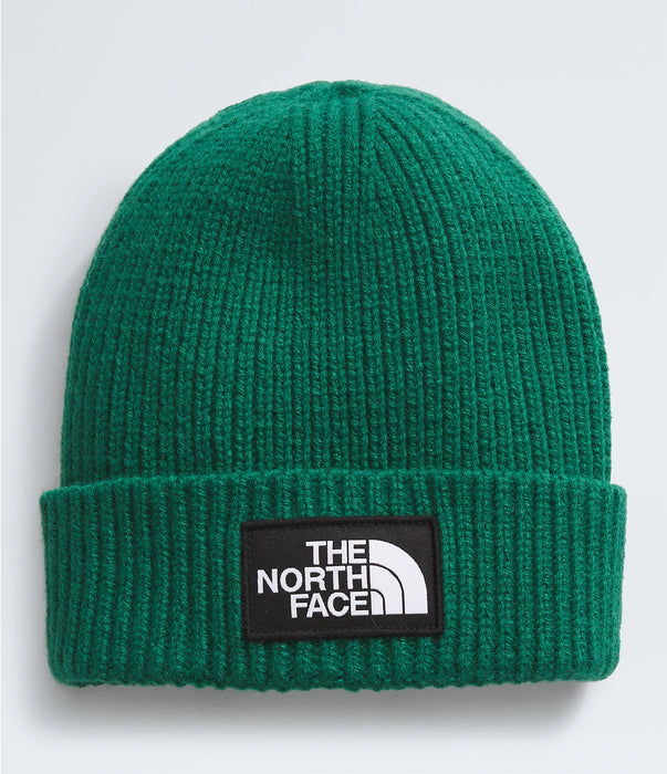 THE NORTH FACE SALTY LINED BEANIE (8218975535269)