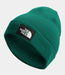 THE NORTH FACE DOCK WORKER RECYCLED BEANIE (7945882828965)