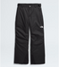 THE NORTH FACE BOY'S FREEDOM INS PANT (8787730956453)