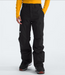 THE NORTH FACE MEN'S FREEDOM INSULATED PANT 2025 (8817226154149)