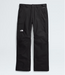 THE NORTH FACE MEN'S FREEDOM INSULATED PANT 2025 (8817226154149)