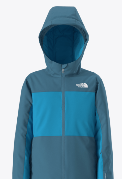 THE NORTH FACE BOYS' FREEDOM INSULATED JACKET (8980990623909)