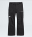 THE NORTH FACE Men's Chakal Pant 2025 (8820254441637)