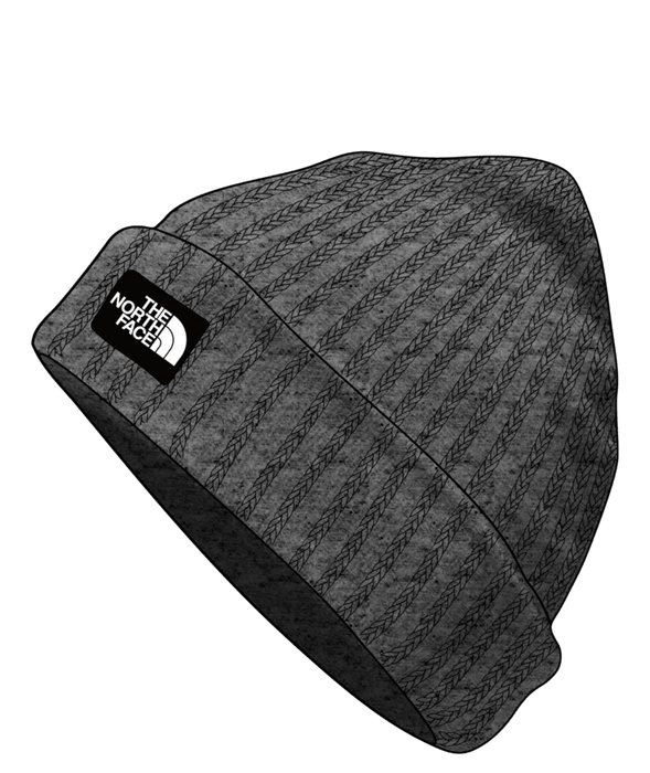 THE NORTH FACE SALTY LINED BEANIE (8218975535269)