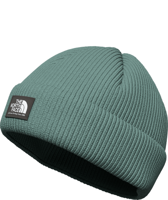THE NORTH FACE SALTY LINED BEANIE (8218975535269)