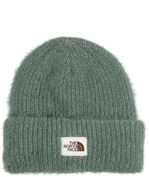 THE NORTH FACE SALTY BAE LINED BEANIE (8218971177125)