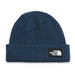 THE NORTH FACE SALTY LINED BEANIE (8218975535269)