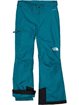 TNF GIRL'S FREEDOM INS PANT (7283748110501)