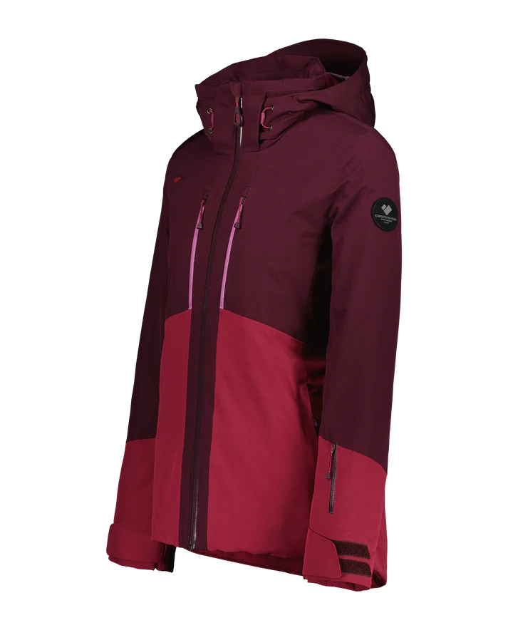 Reign on 550 fill 2024 power down hooded parka